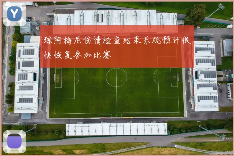琼阿梅尼伤情检查结果乐观预计很快恢复参加比赛