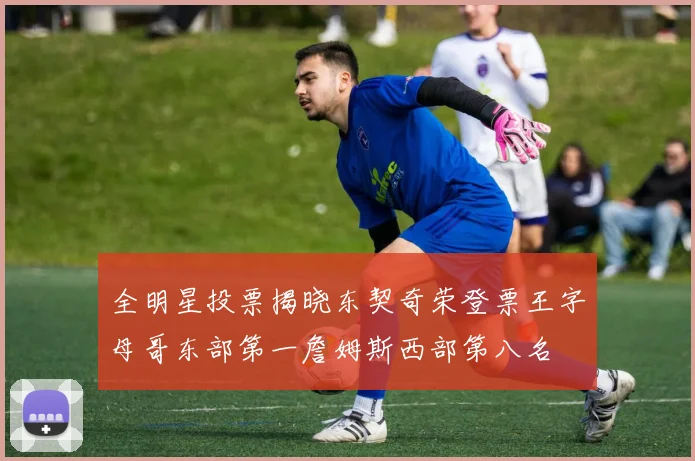 全明星投票揭晓东契奇荣登票王字母哥东部第一詹姆斯西部第八名