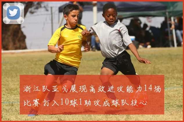 浙江队亚戈展现高效进攻能力14场比赛打入10球1助攻成球队核心